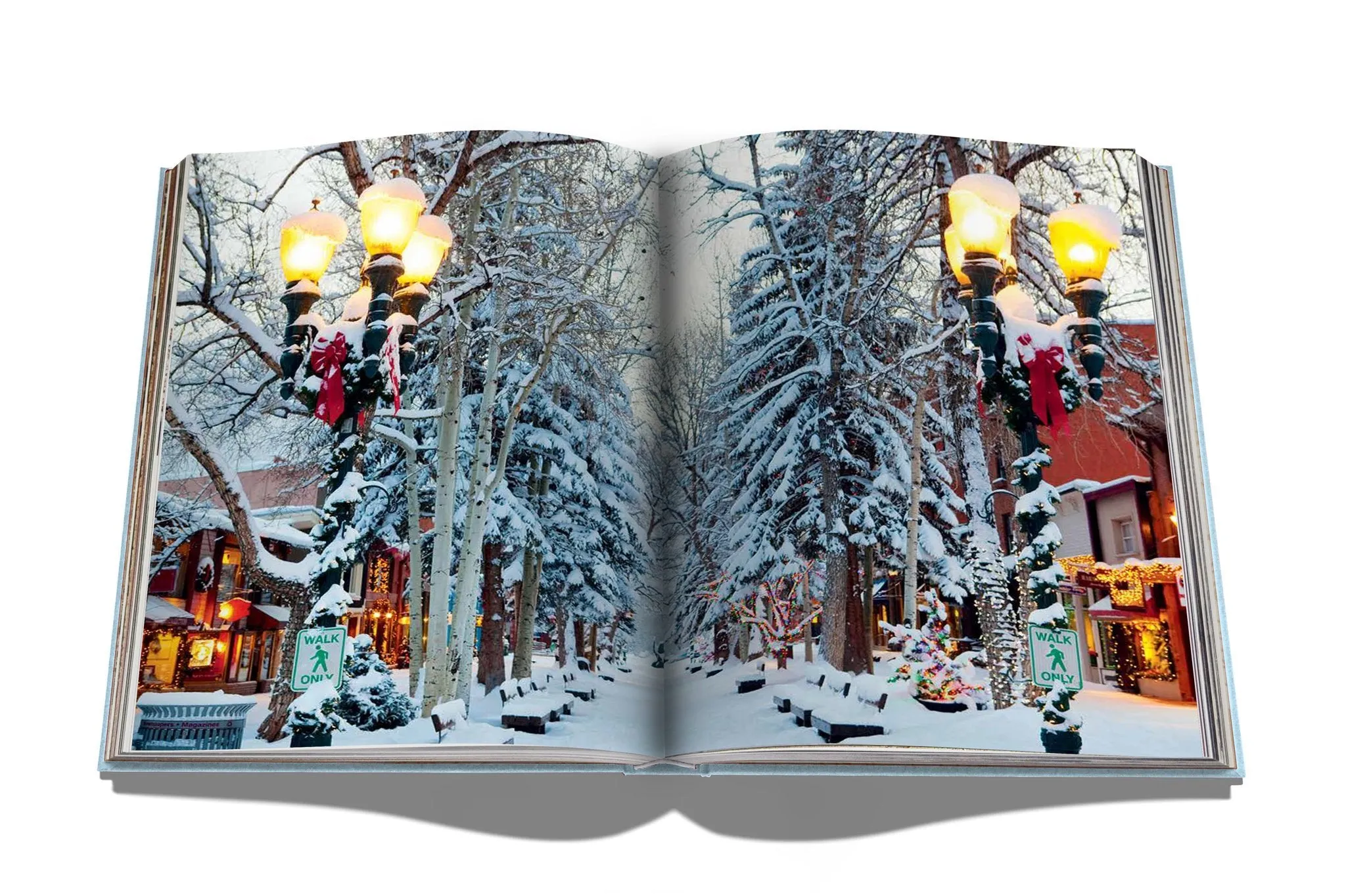 ASSOULINE Aspen Style Hardcover Book by Aerin Lauder