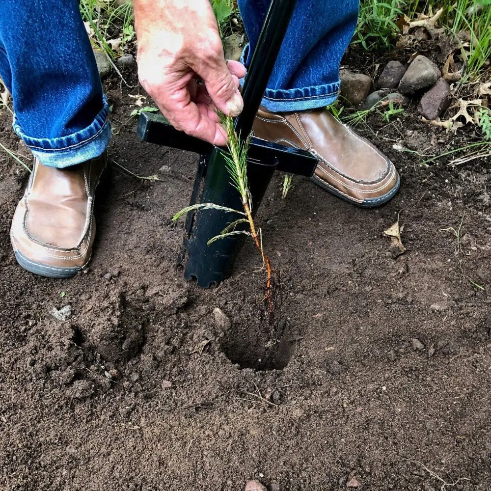 The Walden Perfect Planter